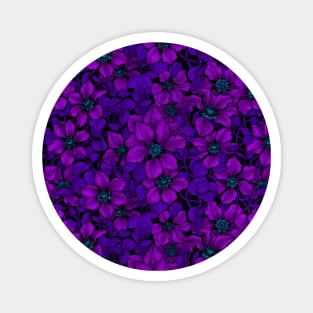 Purple Clematis vine Magnet